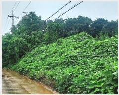  2024Ÿ��55592  �Ӿ߰��