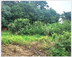  2024Ÿ��55592  �Ӿ߰��