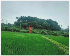  2024Ÿ��55592  �Ӿ߰��