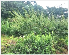  2024Ÿ��55592  �Ӿ߰��