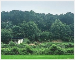  2024Ÿ��55592  �Ӿ߰��