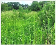  2024Ÿ56359 泲    714-2      (1)