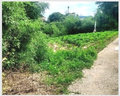  2024Ÿ56359 泲    714-2      (1)