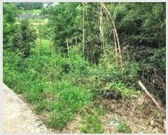  2024Ÿ56359 泲    714-2      (1)