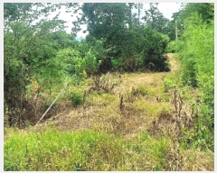  2024Ÿ56359 泲    714-2      (1)