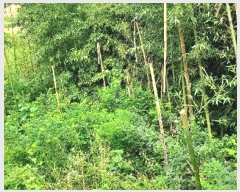  2024Ÿ56359 泲    714-2      (1)