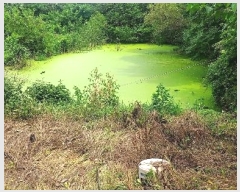  2024Ÿ56359 泲    714-2      (1)