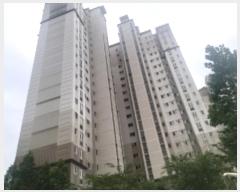  2024Ÿ56601 泲  ۻ  861 Ÿ 106 4401ȣ   Ʈ