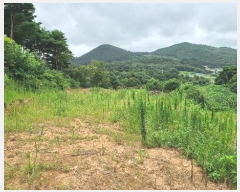  2024Ÿ��56687 �泲 ����� ������ ���� 190-26      ����(�Ӿ�)���