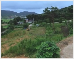  2024Ÿ��56687 �泲 ����� ������ ���� 190-26      ����(�Ӿ�)���