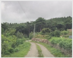  2024Ÿ��56687 �泲 ����� ������ ���� 190-26      ����(�Ӿ�)���