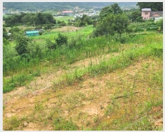  2024Ÿ��56687 �泲 ����� ������ ���� 190-26      ����(�Ӿ�)���