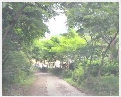  2024Ÿ��56687 �泲 ����� ������ ���� 190-26      ����(�Ӿ�)���