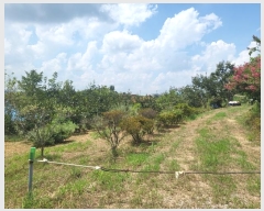  2024Ÿ57451 泲   Ż긮 67-1      (Ӿ)