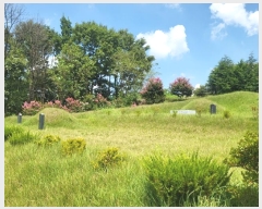  2024Ÿ57451 泲   Ż긮 67-1      (Ӿ)