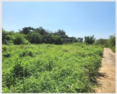  2024Ÿ57499 泲  ۾ ΰ 323-2      (Ӿ)