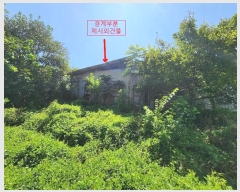  2024Ÿ57499 泲  ۾ ΰ 323-2      (Ӿ)