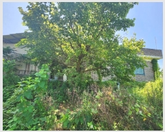  2024Ÿ57499 泲  ۾ ΰ 323-2      (Ӿ)