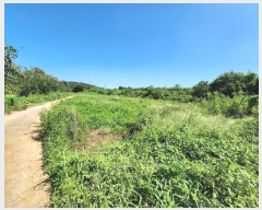  2024Ÿ57499 泲  ۾ ΰ 323-2      (Ӿ)