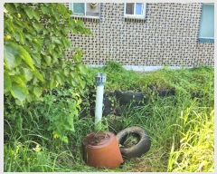  2024Ÿ57499 泲  ۾ ΰ 323-2      (Ӿ)