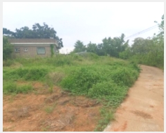  2024Ÿ57499 泲  ۾ ΰ 323-2      (Ӿ)