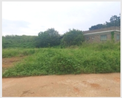  2024Ÿ57499 泲  ۾ ΰ 323-2      (Ӿ)