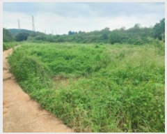  2024Ÿ57499 泲  ۾ ΰ 323-2      (Ӿ)