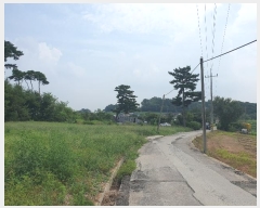  2024Ÿ57512 泲    208      (1)