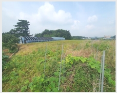  2024Ÿ57512 泲    208      (1)