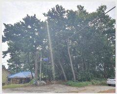  2024Ÿ57512 泲    208      (1)