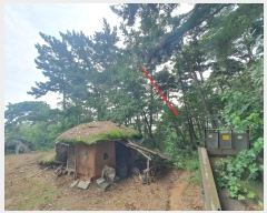  2024Ÿ57512 泲    208      (1)