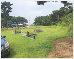  2024Ÿ57512 泲    208      (1)