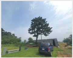  2024Ÿ57512 泲    208      (1)