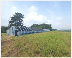  2024Ÿ57512 泲    208      (1)