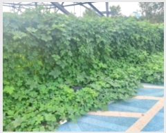  2024Ÿ57574 泲   Ż긮 164-10      