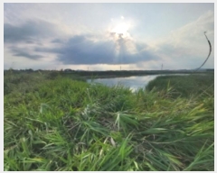  2024Ÿ57574 泲   Ż긮 164-10      