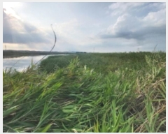  2024Ÿ57574 泲   Ż긮 164-10      