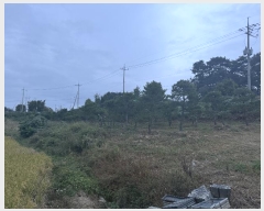  2024Ÿ58324 泲  μ  115-5      (Ӿ)