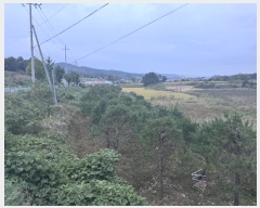  2024Ÿ58324 泲  μ  115-5      (Ӿ)