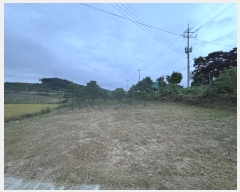  2024Ÿ58324 泲  μ  115-5      (Ӿ)