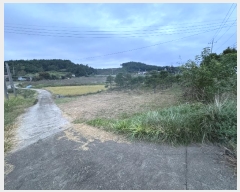  2024Ÿ58324 泲  μ  115-5      (Ӿ)