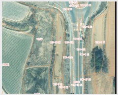  2024Ÿ58324 泲  μ  115-5      (Ӿ)