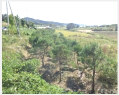  2024Ÿ58324 泲  μ  115-5      (Ӿ)