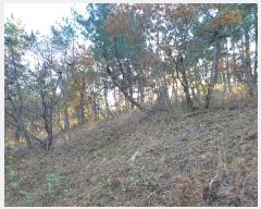  2024Ÿ58393 泲 ¾ȱ ̿  5-1      (Ӿ)