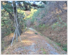  2024Ÿ58393 泲 ¾ȱ ̿  5-1      (Ӿ)