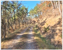  2024Ÿ58393 泲 ¾ȱ ̿  5-1      (Ӿ)