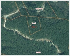  2024Ÿ58393 泲 ¾ȱ ̿  5-1      (Ӿ)