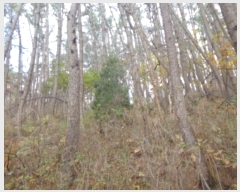  2024Ÿ58393 泲 ¾ȱ ̿  5-1      (Ӿ)