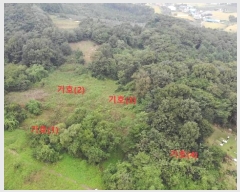  2024Ÿ��58546 �泲 ������ ������ ���� 557      ����(�Ӿ�)���