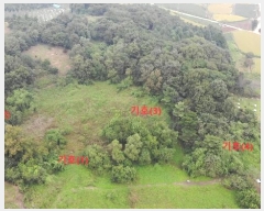  2024Ÿ��58546 �泲 ������ ������ ���� 557      ����(�Ӿ�)���